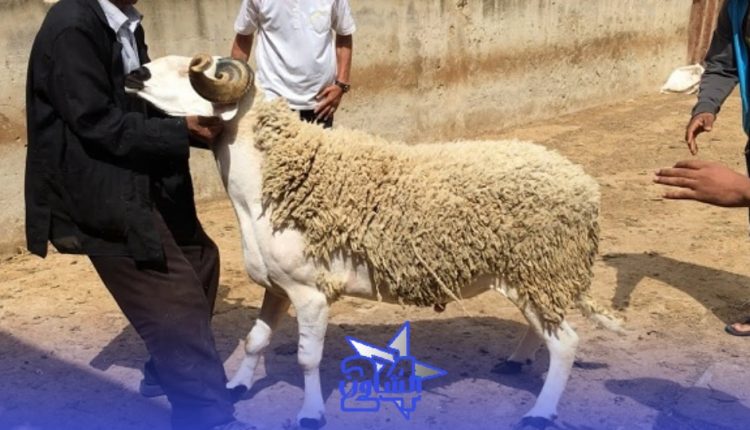 عيد الأضحى 2021